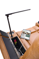 Rhodes Lift Chair Recliner, with reading light and heatwave technology remote, Sparrow color